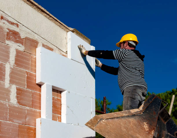 Best Insulation Maintenance and Repair in Van Vleck, TX