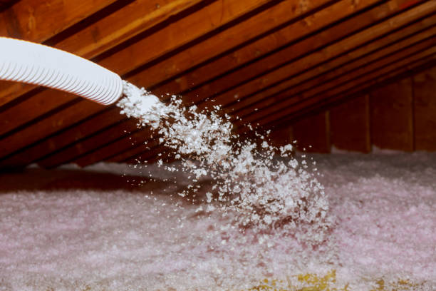 Best Commercial Insulation in Van Vleck, TX