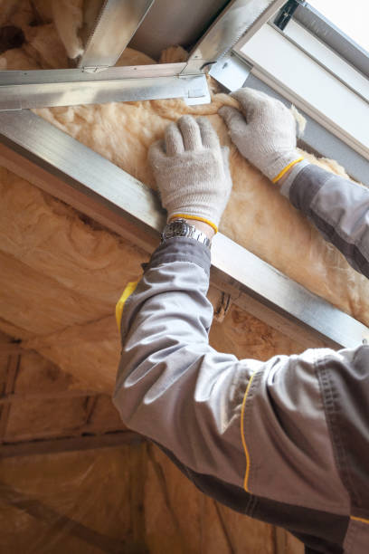 Best Types of Insulation in Van Vleck, TX
