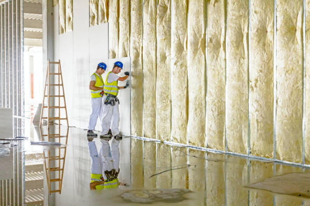 Best Specialty Insulation in Van Vleck, TX